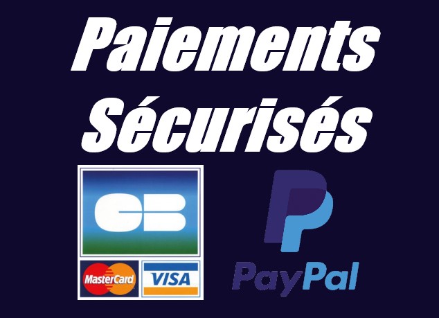 paiements 100% sécurisés carte bleu visa master card paypal