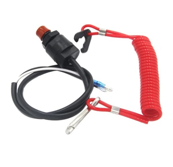 Staccabatteria Interruttore a pulsante da 12 V con cavo per Karting Quad Motoslitte e Barche fuoribordo