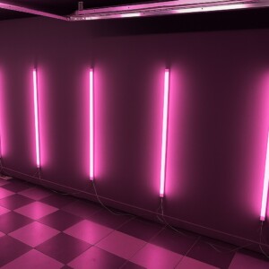 Lampe Barre LED murale Rose 120cm 16W Gym, Garage, Barber